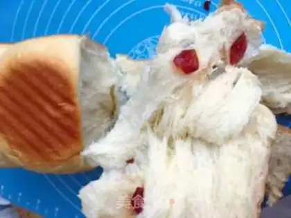 Make Toast step 21