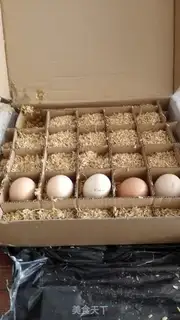 Make Slurpy eggs step 0