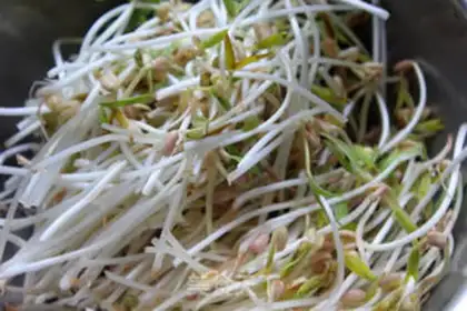 Make Jealous green bean sprouts step 1