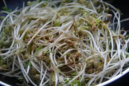 Make Jealous green bean sprouts step 6