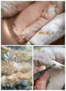 Make Spicy pig hoof step 0