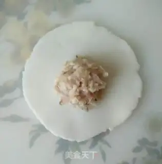 Make Crystal shrimp dumplings step 12