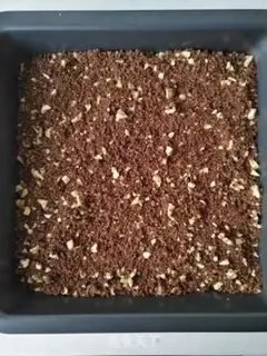 Make Mocha