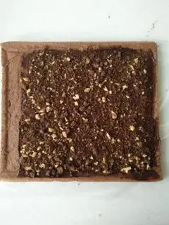 Make Mocha