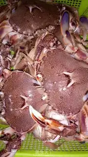 Make Crabs step 0