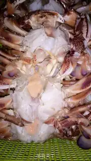 Make Crabs step 1