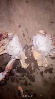 Make Crabs step 2