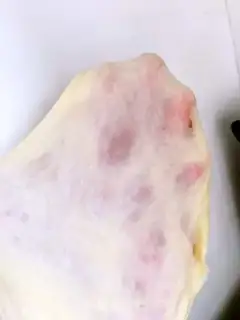 Make Little turtle soybread step 2