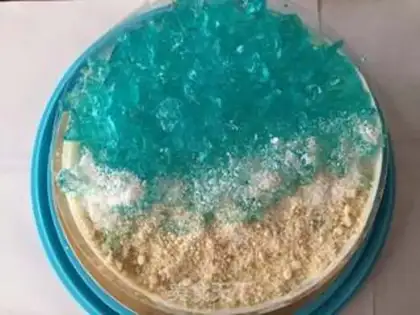 Make Sea moose cake step 4
