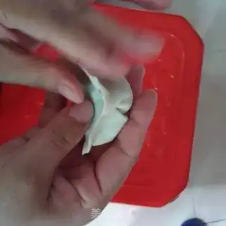 Make Skinny dumplings step 11