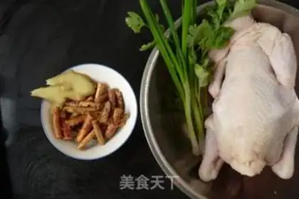 Make Five fingers for a white pheasant step 0