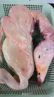 Make Zhijiang Duck step 0