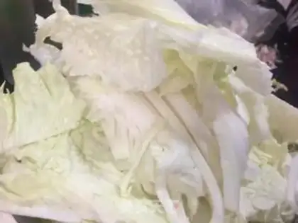 Make Big cabbage with a cow step 1