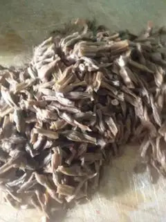 Make The dry bean horn step 6