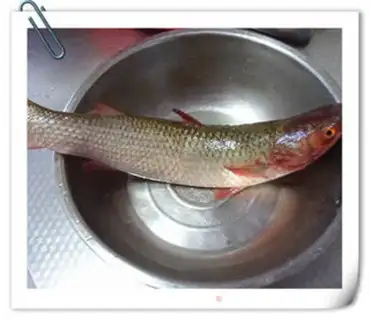Make Steaming fish step 0