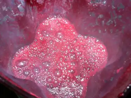 Make Beet root step 9