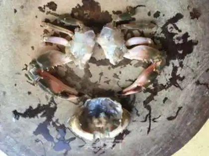 Make Crab onions step 1