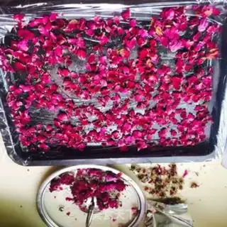 Make Rose gel gel step 5