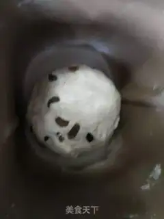 Make The German yeast step 1