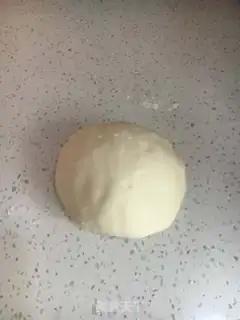 Make dumplings step 0