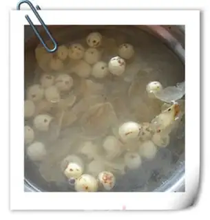 Make The pulmonary soup step 1