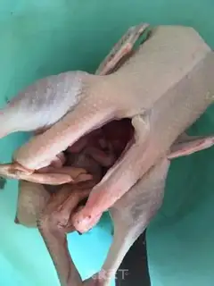 Make To make up for the duckling soup step 0