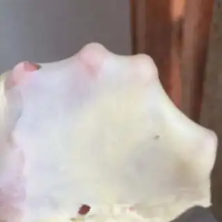 Make Super soft raw toast step 5