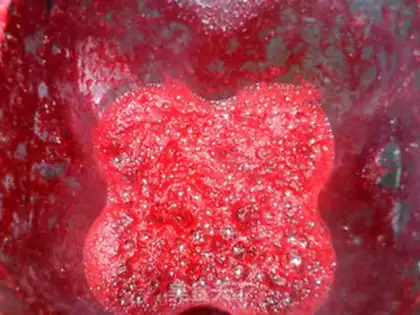 Make Beet root carrot apple step 9