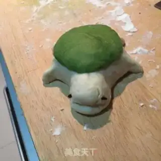 Make Little turtle step 4
