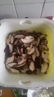 Make Mushroom oil step 2