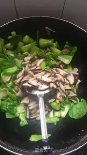 Make Mushroom oil step 10