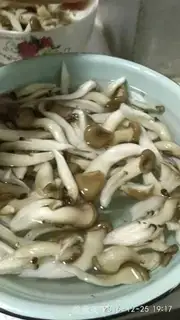 Make Soy rice powder step 2