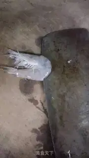 Make Shrimp step 1