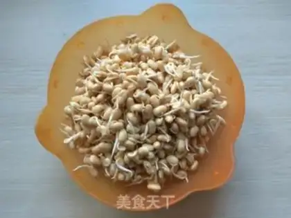 Make A soybean sprouts fan step 0