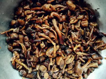 Make Chicken stew mushrooms step 1