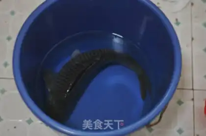 Make There are fish in years step 0