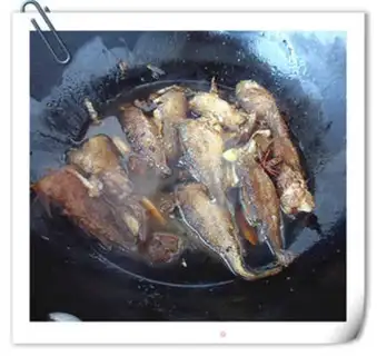 Make The gills both step 11