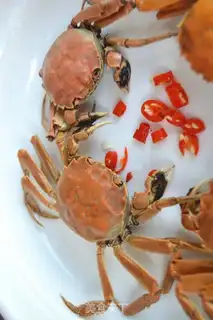 Make Steam crabs step 4