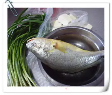 Make Squidfish tofu step 0