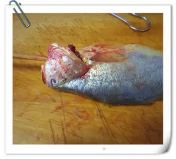 Make Squidfish tofu step 1