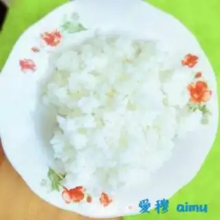 Make Rice for rice step 0