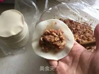 Make Pork pan sticker step 5