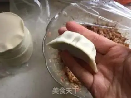 Make Pork pan sticker step 6