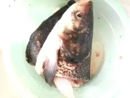 Make Mushroom tofu fish head soup step 0