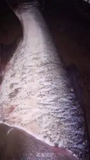 Make Boiled fish step 0