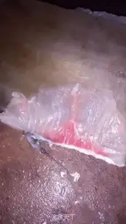 Make Boiled fish step 2