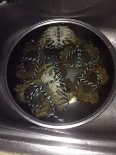 Make Crabs step 0