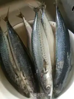 Make Garbage sardines step 0