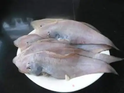 Make Cricket chickens with wings step 1