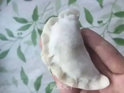 Make Pork dumplings step 9